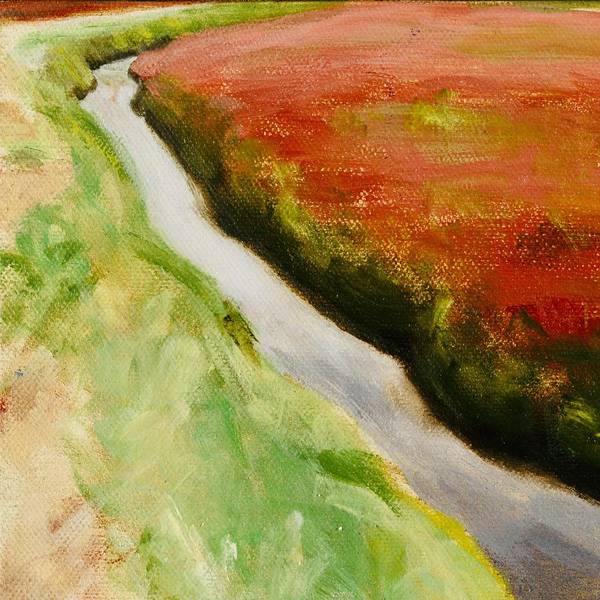 Red Abstract Art - Cranberry Bog with Curving Brook - Landscape Art Print - Art of the Sea